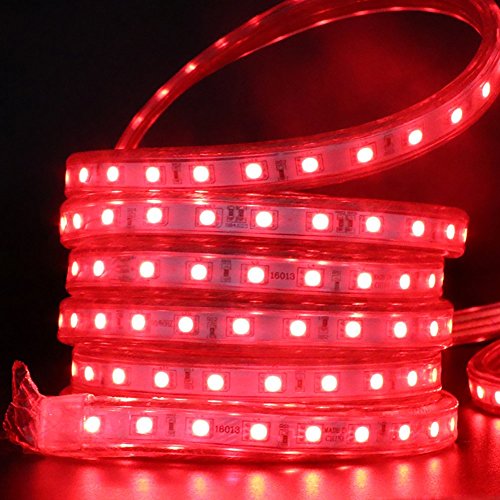 Xunata 328Ft Led Rgb Rope Strip Light, Ac 110V 6000 Units Smd 5050 Leds Remote Control Multi-Color Changing Waterproof Flexible Strip Lights For Indoor Outdoor Christmas Decoration #TOP2
