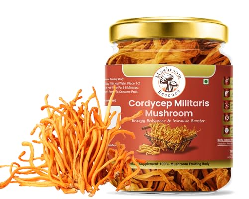 Image of Cordyceps Militaris Dried Cordyceps Mushroom (30gm) | Premium Cordyceps Fungus for Energy, Endurance & Immunity | Herbal Supplement | Pack of 1