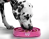 Slow Feed Dog Bowl Slowly Bowly by 2PET. Fun Interactive Dog Dish for Fast Eaters. Prevent Bloating.
