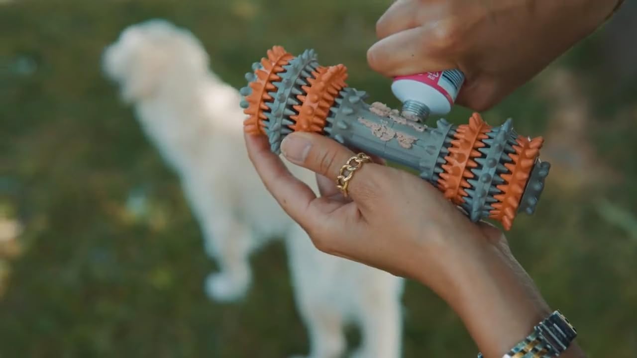 Juguete masticable de goma, juguete de limpieza bucal para perros, juguete de dentición, juguete para perros