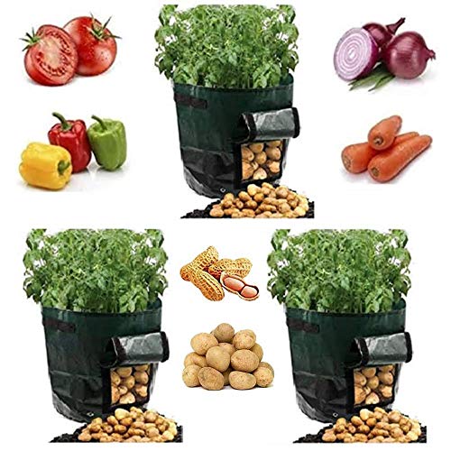 YOQXHY 3 Pack Potato Grow Bags [10 Gallon] Garden Vegetables Planter Bag with Handles and Access Flap for Planting Potato Carrot Onion Taro Radish Peanut,