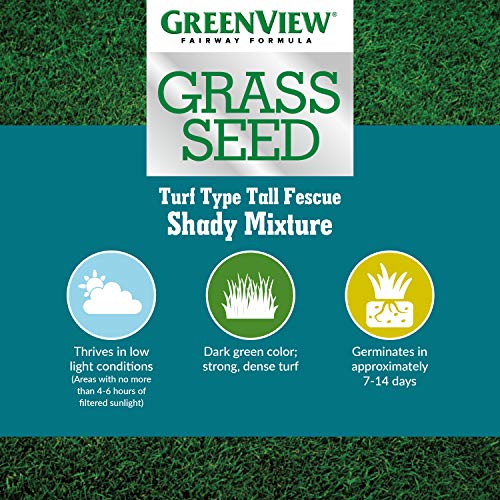 Greenview Fairway Formula Grass Seed Turf Type Tall Fescue Sun & Shade Blend - 20 Lbs. & Greenview Fairway Formula Grass Seed Turf Type Tall Fescue Shady Mixture - 20 Lb. Bag #TOP6