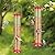 ERYTLLY 2 Pack Bird Feeders for Outdoors Hanging with 6 Feeding Ports Extra Thick Solid Tube Transparent Weatherproof Water Resistant Great for Attracting Birds Garden
