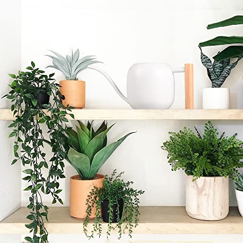 IMEEA Watering Can for Indoor Plants 40oz Stainless Steel Watering Can with Long Spout and Wooden Handle (White)