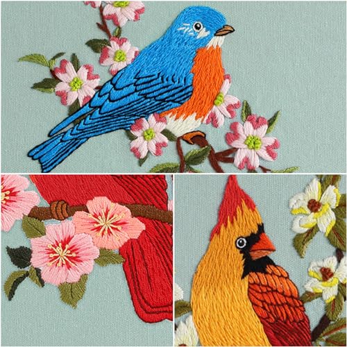 Image of Louise Maelys 3 Sets Bird Embroidery Kits for Beginners,Adults Starter Flower Pattern Cross Stitch Kit DIY Needlepoint Kits with Embroidery Instructions