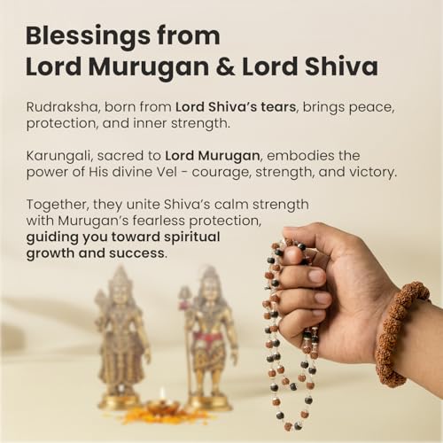 Image of Astrotalk Divya Raksha Rudraksha & Karungali Mala with 7 Mukhi Rudraksha Bracelet | Spiritual Protection, Blessings & Wealth | Natural Ebony Wood Mala | Gift for Man & Woman