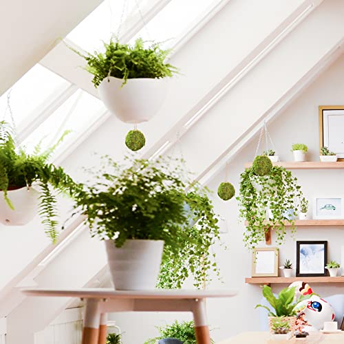 Tongcloud 6Pcs Natural Green Moss Decorative Ball,Natural Green Moss Balls Handmade Decorative Moss Hanging Balls For Garden Patio Home Table Decor Party Weddings Display Props Decor (Green, 6) #TOP2