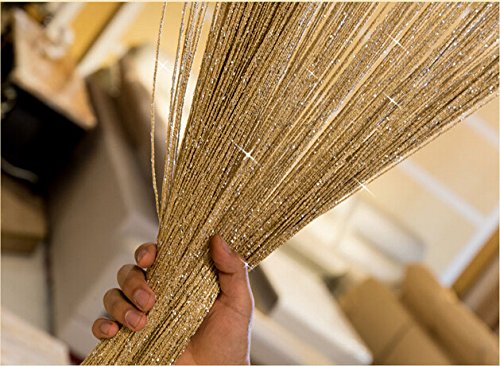 Ave Split Decorative Door String Curtain Wall Panel Fringe Window Room Divider Blind Divider Tassel Screen Home 100X200Centimeter (Champagne18) #TOP4