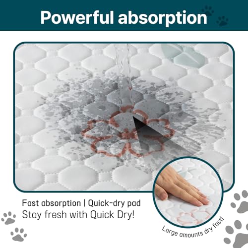Image of Extra Large Washable Dog Pee Pads (2 Pack), 31 inchx36 inch Reusable Waterproof Pad for Large Dogs, Super Absorbent, Non-Slip Indoor Puppy Training Mat