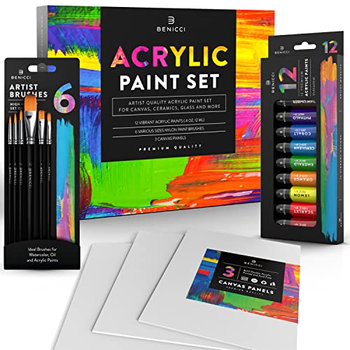 Acrylic-Paint-Set-for-Kids-Artists-and-Adults-12-Vibrant-Colors-6-Brushes-and-3-Paint-Canvases-Perfect-for-Beginners-or-Professionals