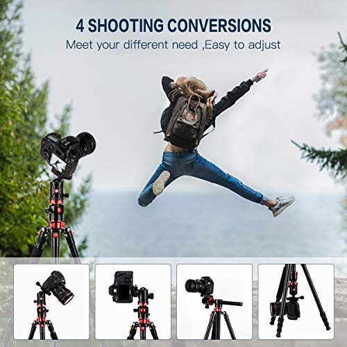 ZOMEi 75'' Tripod,Camera Tripod for DSLR,Ball Head Tripod Professional Tripods 4 Section Horizontal Tripod with 360 Degree Ball Head Plate for Canon DSLR DV Scope Camcorder and Projector