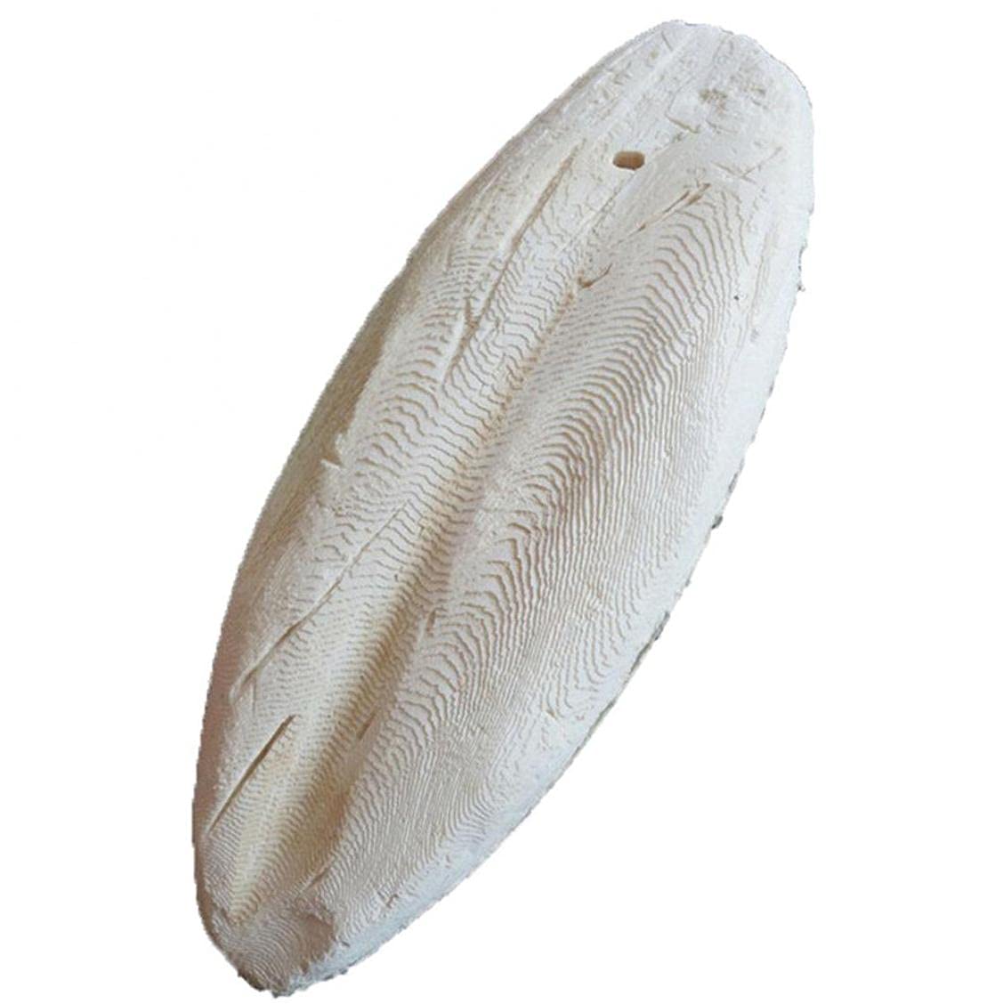 1pc Sepia Bone Cuttle Fish Bird Food Calcium Pickstone Parrot Birds Teeth Grind Training