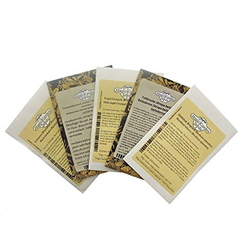 Legendarische nachtschadegewassen - zaad-cadeau set met 5 magische planten - Image 5