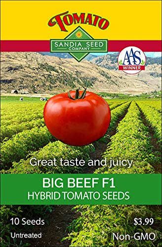 Big Beef F1 Tomato Seeds