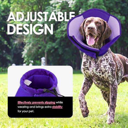 Image of AOFITEE Dog Cone - Soft Cone for Dogs to Stop Licking After Surgery, Foldable Small Dog Cone Collar, Adjustable Cones for Dogs for Wound Healing, Elizabethan Pet E-Collar, Purple Small