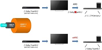 Amazon | P636 50P636 [50型デジタルハイビジョン液晶テレビ] | TCL
