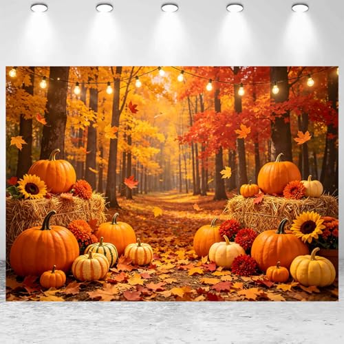 Arrière-plan pour photographie d'automne idéal pour cacher un mur et décorer