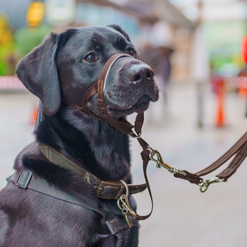HALTI Kopfgeschirr - Verhindert, dass Ihr Hund an der Leine zieht, Einfache Anpassung, Leicht, mit gepolstertem Nasenriemen, Anti-Zug-Halsband für große Hunde (Größe 4, Walnussbraun)