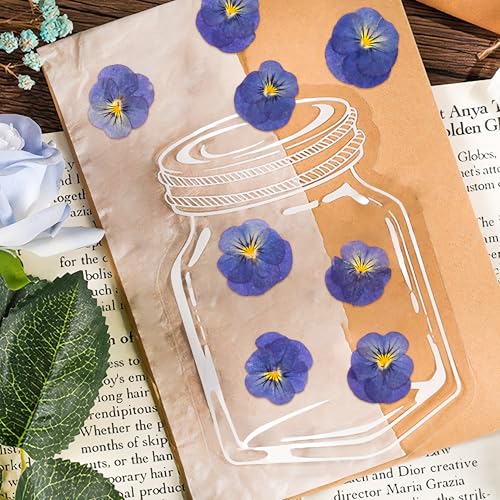 50 flores secas violetas prensadas para moldes de resina y manualidades miniatura 6