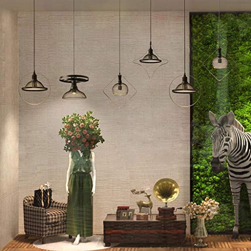 Candelabros de techo E27 industriales ajustables para tienda de ropa 5