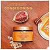 SheaMoisture-Intensive-for-Dry12-oz SheaMoisture Intensive Hydration Hair Masque Manuka Honey & Mafura Oil For Dry, Damaged Hair Deep Conditioning Hair Treatment 11.5 oz