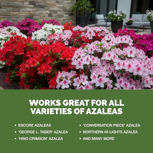 Fertilizante líquido para azaleas 8 oz miniatura 5