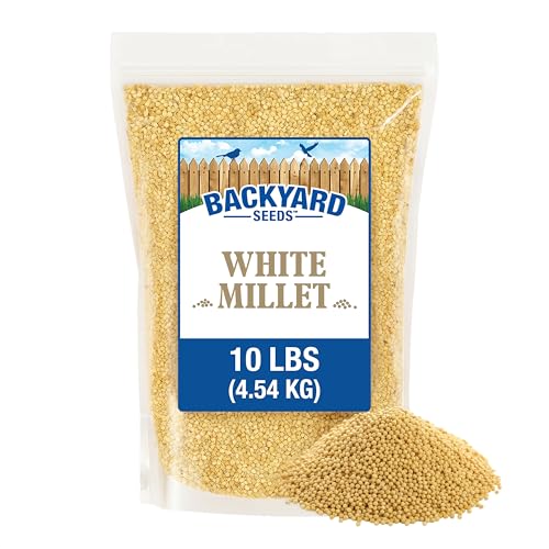 CountryMax White Millet Bird Seed 10 lb USA Grown Premium Finch Food for Wild Birds Finches Doves Sparrows & Quail High Energy Backyard Bird Seed for Ground & Feeder Use