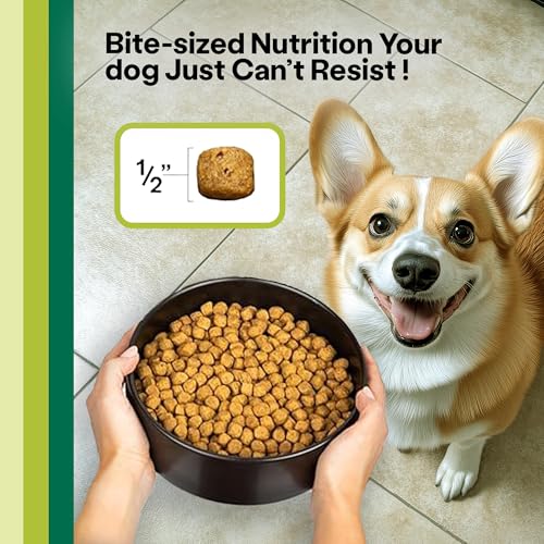 Wild Earth Vegan Dry Dog Food Performance Formula | Plant-Based Vegetarian Kibble | Wheat-Free, Allergen-Free, Veterinarian-Developed | Veggie Supreme Flavor, 18lb Bag - Image 5