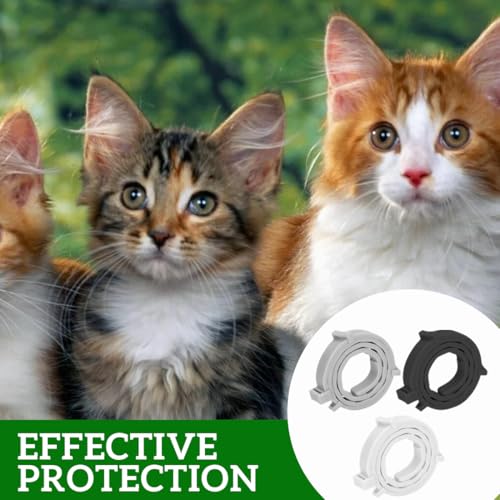 ZORTVUL 3 Stück Flohhalsband für Katzen,Flohhalsband Hunde Klein,Zecken Flohschutz Halsband,Zeckenhalsband für Katzen,Zecken Flohband Katze,Floh Zeckenhalsband für Hunde und Katzen