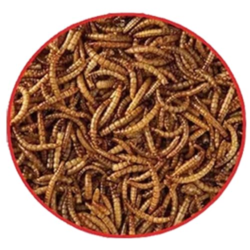 GardenersDream getrocknete Mehlwürmer- Narhaftes wildes Garten Vogelfutter