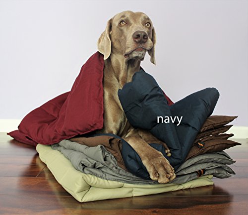 Best Down Comforter For Dogs