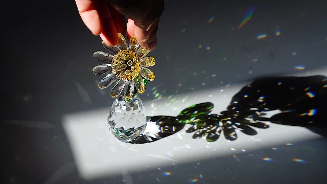 Amazon.com: H&D HYALINE & DORA Crystal Daisy Flower Figurine