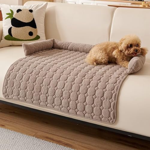 Bettschlange Cuccia per cani lavabile – Coperta per cani con bordo, protezione per divano e cane, soffice cuccia, antiscivolo, per cani di taglia media, 75 x 75 cm, curry