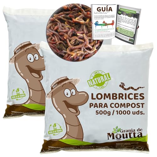 Lombrices 1kg (2,000 uds. aprox.) | Lombriz de tierra vivas Eisenia, elabora compost con tus residuos orgánicos - Para vermicompostador/compostador/jardín