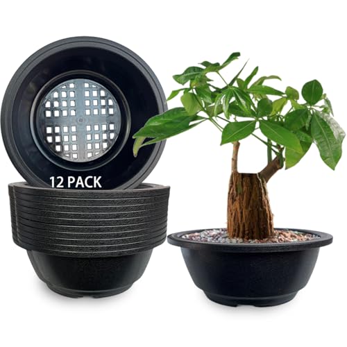 MUZHI 12 Pack Matte Finish Black Round Bonsai Bowl Planter Pot with Drainage, Plastic Garden Low...