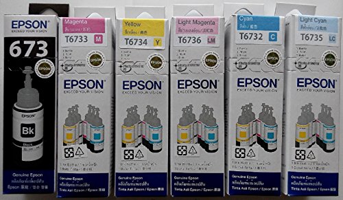 Epson T6731 - Cartucho de Tinta (70 ml), Color Negro