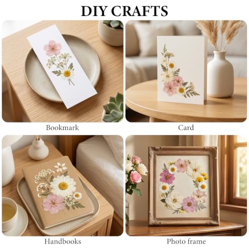 Image of NESCCI 83 Pcs Dried Flowers for Crafts,Real Natural Dried Pressed Flowers in Soft Yellow, White & Pink Tones for Resin,Used for Scrapbooking DIY Art Crafts Candle Soap Making Nails Decor