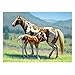 WACYDSD Puzzle Adulte 500 Pièces Gros Cheval et Poney sur l'herbe Puzzle Classique Kit Bricolage Jouet en Bois Cadeau Unique Décor À La Maison