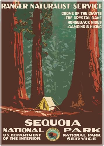 Imán Rectangular Vintage Sequoia National Park 2.5"x3.5" miniatura 1