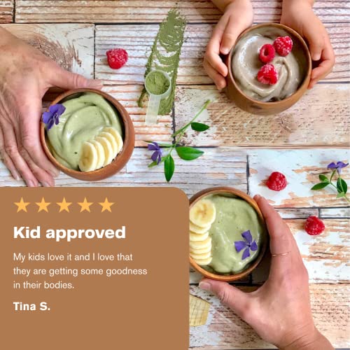 Amazing-Grass-Kidz-Superfood-Organic-Greens-Fruits-Veggies-Beet-Root-Powder-Probiotics-for-Healthy-Kids-Outrageous-Chocolate-30-Servings-635-Ounce-Pack-of-1