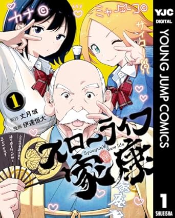 スローライフ家康