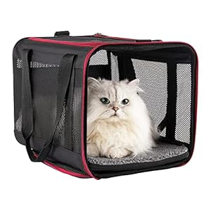 petisfam Top Loading Soft Pet Carrier Bag for Easy Vet Visits with Medium or Large Cats (Large, Black w/Red Trim)