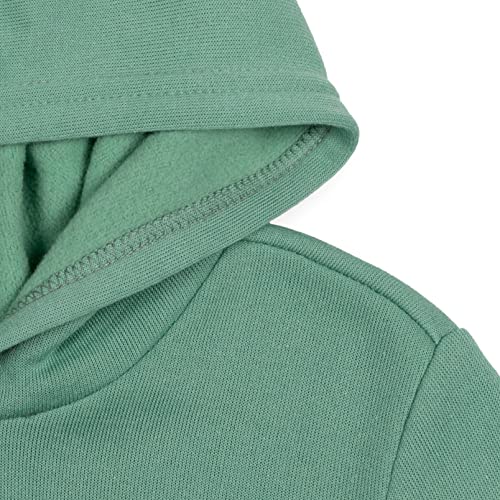 Disney Pixar Toy Story Buzz Lightyear Woody Rex Forky Fleece Pullover Hoodie Toddler to Little Kid4