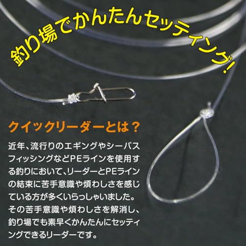 Línea de Pesca Fluorocarbono Duel No. 3.0 3.3 ft miniatura 2