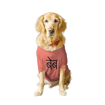 Ruse Basic Crew Neck Desi Babe Printed Half Sleeves/Apparel/Clothes/T-Shirt Gift for Dogs.Colour-Salmon/XXL (Full Grown Saint Bernard, Great Dane etc.)