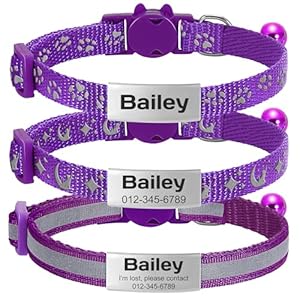 Kodinsiivous 3 Pack Katzenhalsband mit Namensschild