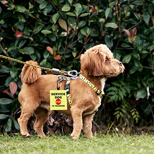 Blind Dog Ask Before Petting Alert Hängemarken für Hunde Nervous Dog Hanging Dog Alert Patches Hanging Dog Tags (Blind – Dog)