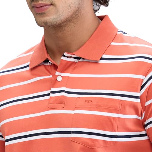 Image of Colorplus Men's Classic Fit Stripe Pattern Pure Cotton Half Sleeve Polo Neck Casual T-Shirt
