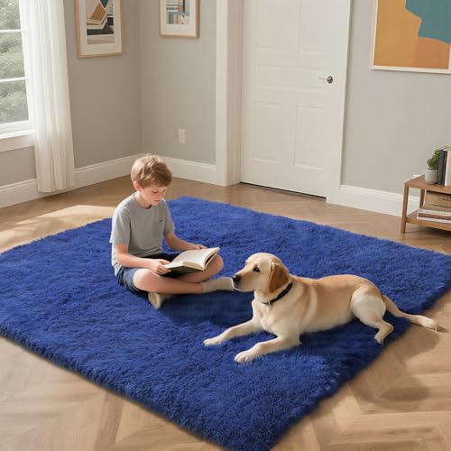 Blue Fluffy Rug Shaggy Area Rug, 3x5 Area Rugs for Girls Bedroom, Soft Cute Baby Play Mat, Indoor Floor Carpet for Teen, Nursery, Preppy Dorm, Plush Aesthetic Bedside Rug