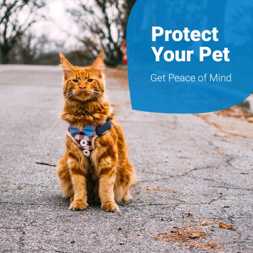 Image of Tractive GPS Cat 4 Tracker Harness Attachment, for Cat Walks with Peace of Mind, Velcro Straps, Black